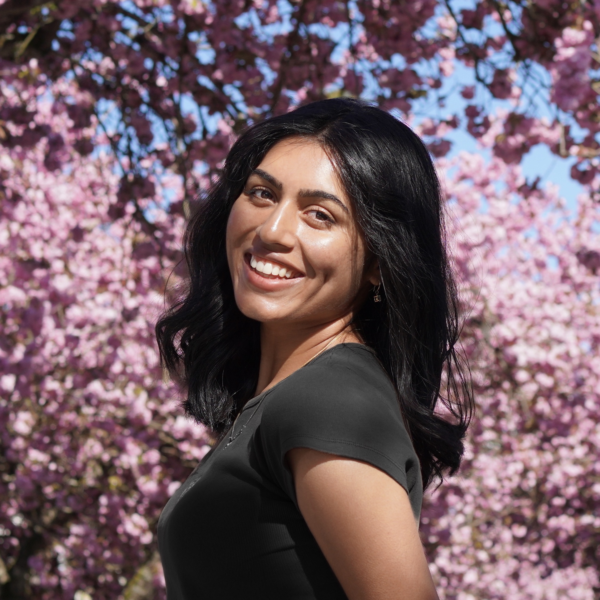 Vindhya Banda